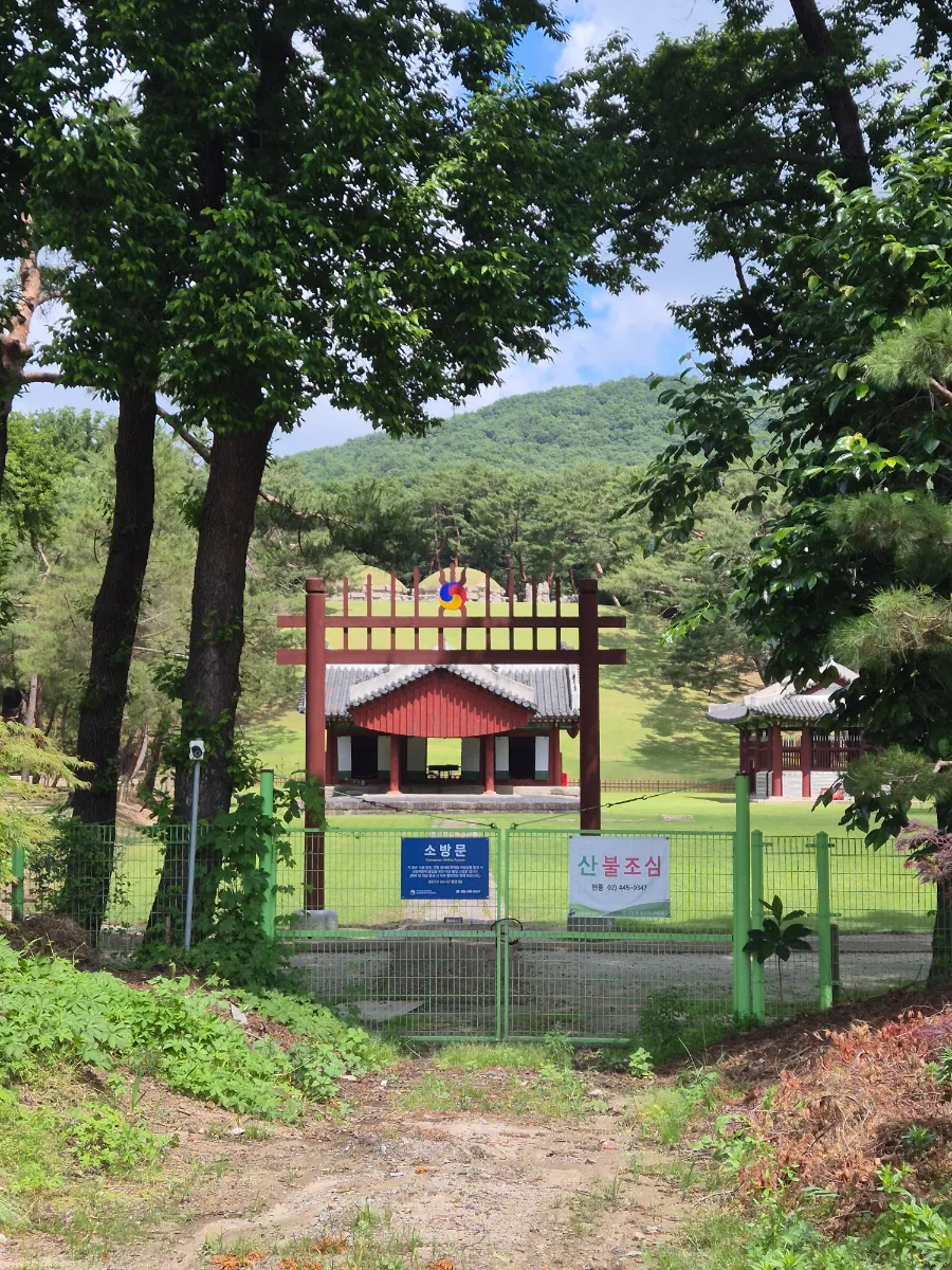 피드 이미지